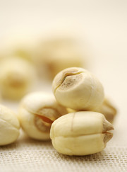 干莲子高清图片