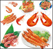 海鲜虾图片素材