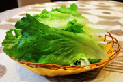 生菜图片下载