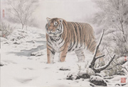 雪地里的老虎工笔画