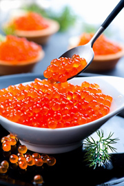 鱼子酱图片素材