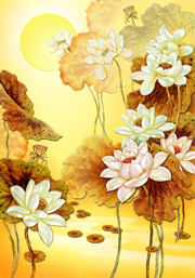 �ʵ�ɻ�װ�λ�ͼƬ