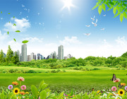 城市郊外草地风景图片