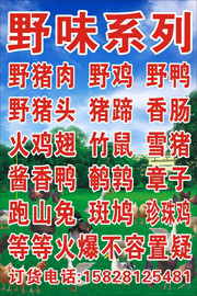 野味宣传图片