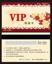 时尚VIP卡模板