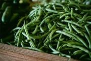 新鲜四季豆图片