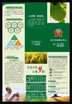 合作社宣传三折页