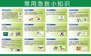常用急救小知识宣传图