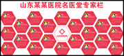 医院专家简介墙设计