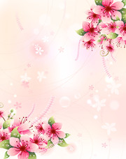 �ֻ��һ�����ͼƬ