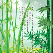 竹子图片素材