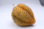 金枕榴莲图片
