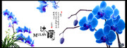 木兰花装饰画图片素材