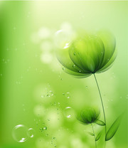 唯美绿色花朵背景图片
