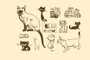 宠物猫咪卡通图片