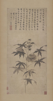 秋葵折枝图_明_文徵明 