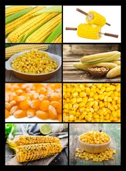 水果玉米图片