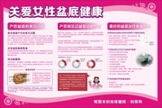 关爱女性盆底健康展板