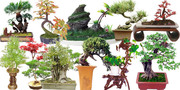 绿植景观素材下载