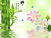 ���Ӻɻ����ӱ���ǽ