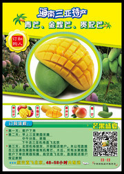 芒果宣传图片