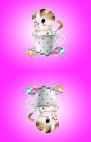 �ɰ�è���ֻ�ͼƬ