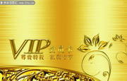 VIP金卡设计
