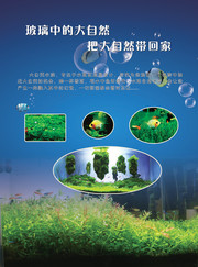水族馆景点介绍海报
