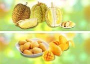 ˮ����Ƭ�ز�ͼƬ
