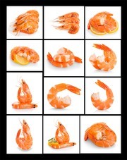 美味虾肉高清图片