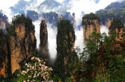 张家界黄石寨风景图片