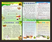 夏季安全展板图片下载