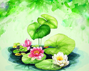�ֻ�ɻ�ͼƬ