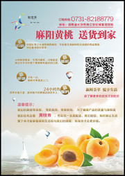 黄桃促销宣传图片