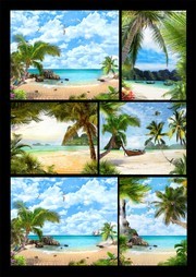 Ҭ������̲�羰ͼƬ�ز�