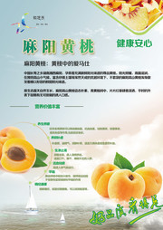 黄桃宣传海报图片素材