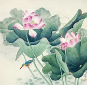 工笔荷花图片素材