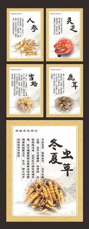 中药简介挂图下载