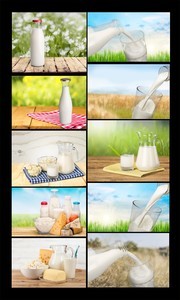 Ӫ���������ͼƬ