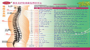 筋骨养护医疗展板图片