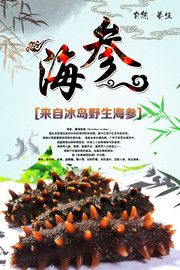 冰岛野生海参广告图片素材