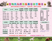 宠物店美容价目表图片