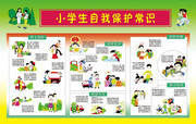 小学生自我保护常识宣传栏图片