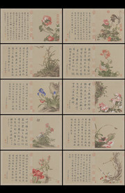 花鸟图册_清_郎世宁