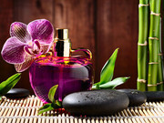 SPA���ݴ���ͼƬ�ز�
