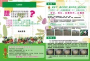 超市有机蔬菜宣传彩页模板