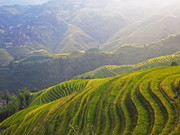 水稻梯田风景高清图片素材