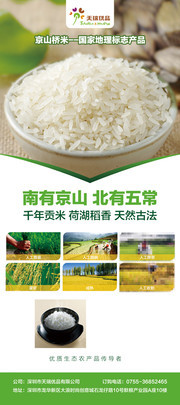 大米宣传X展架设计模板