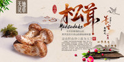 野山菌松茸海报设计模板