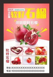 软籽石榴海报设计素材